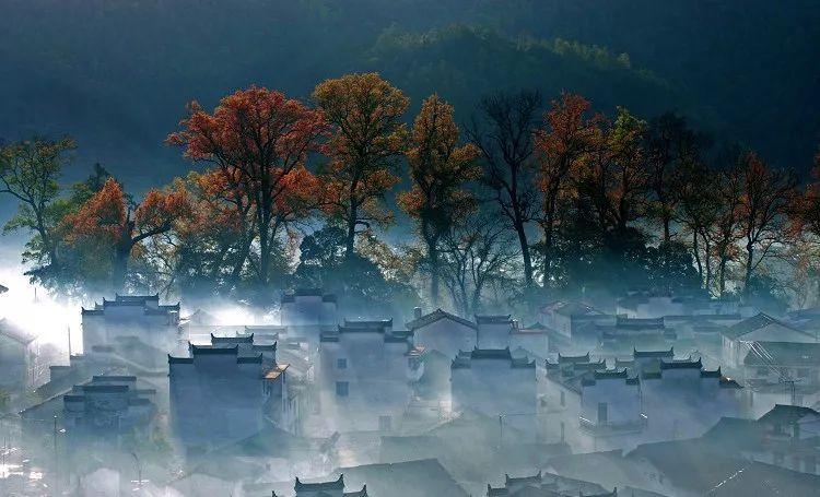 寻找古代宝藏