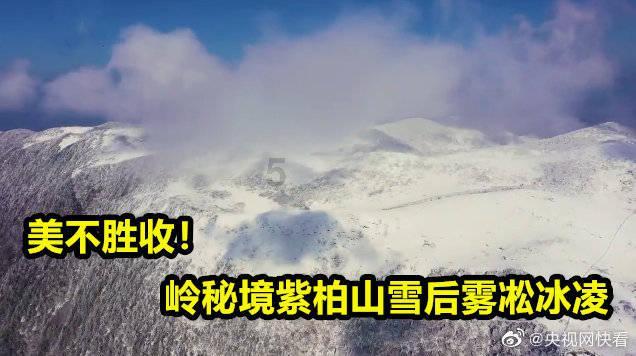 迫不得已要“喝酒”?4个秘诀告诉你,这样喝不伤身,早知道早好