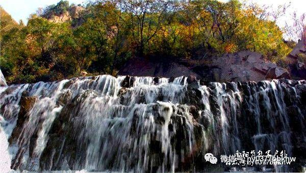 临县：范亮珍调研指导黄河流域生态保护和高质量发展以及森林防火工作